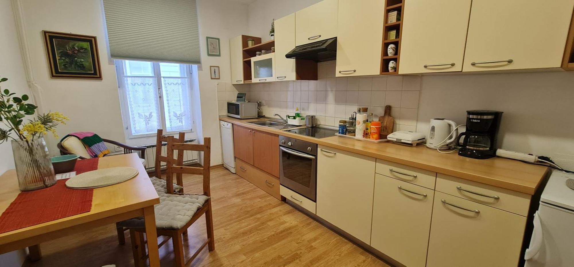 Apartma Domenika Ptuj Exterior photo